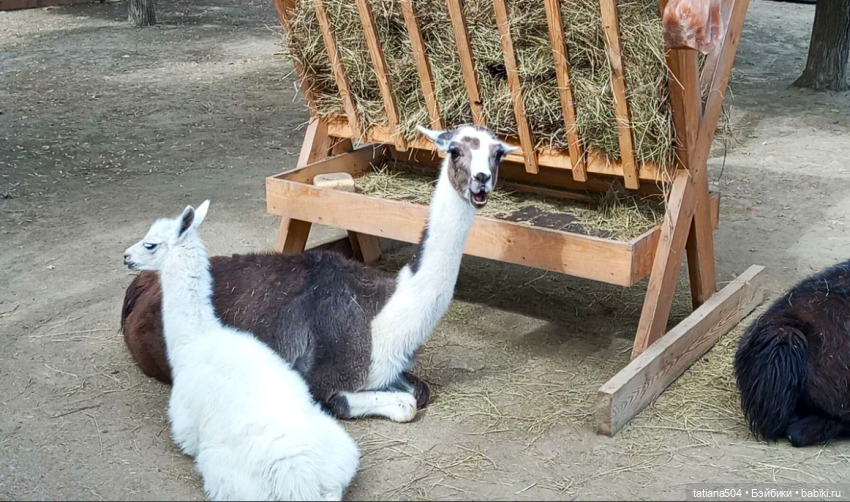 Туристический маршрут Жу (3 часть)