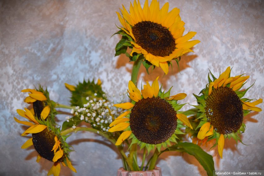 Дарю улыбки и подсолнухи — Куклы Helen Kish (Хелен Киш): Riley (Райли) (фото 4)