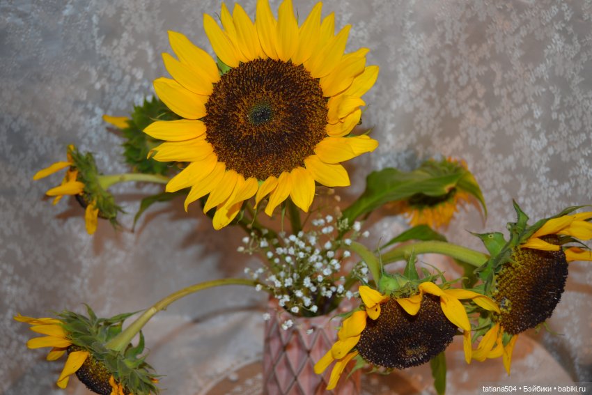 Дарю улыбки и подсолнухи — Куклы Helen Kish (Хелен Киш): Riley (Райли)