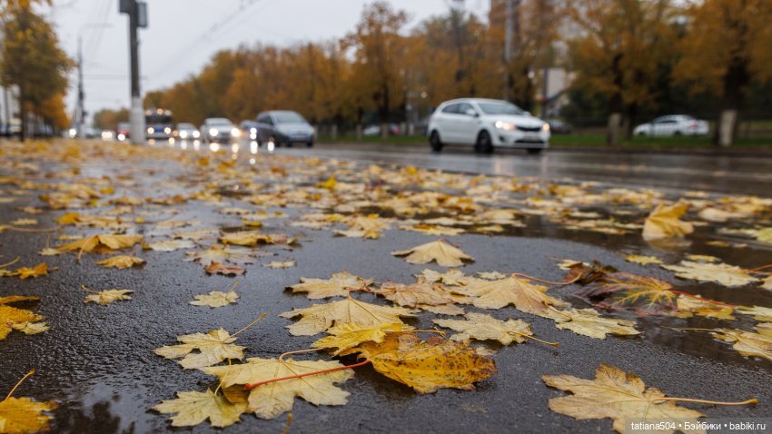 Осенний марафон - 2 с куклами Хелен Киш (фото 7)