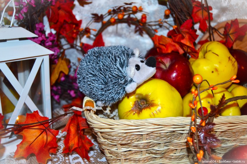 Осенний марафон - 3 с Рубиночками | Бэйбики Осенний марафон - 3 с Рубиночками (фото 4)