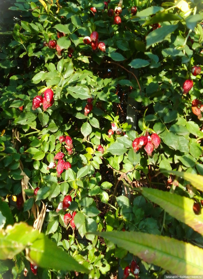 Осенний марафон - 2 с куклами Хелен Киш