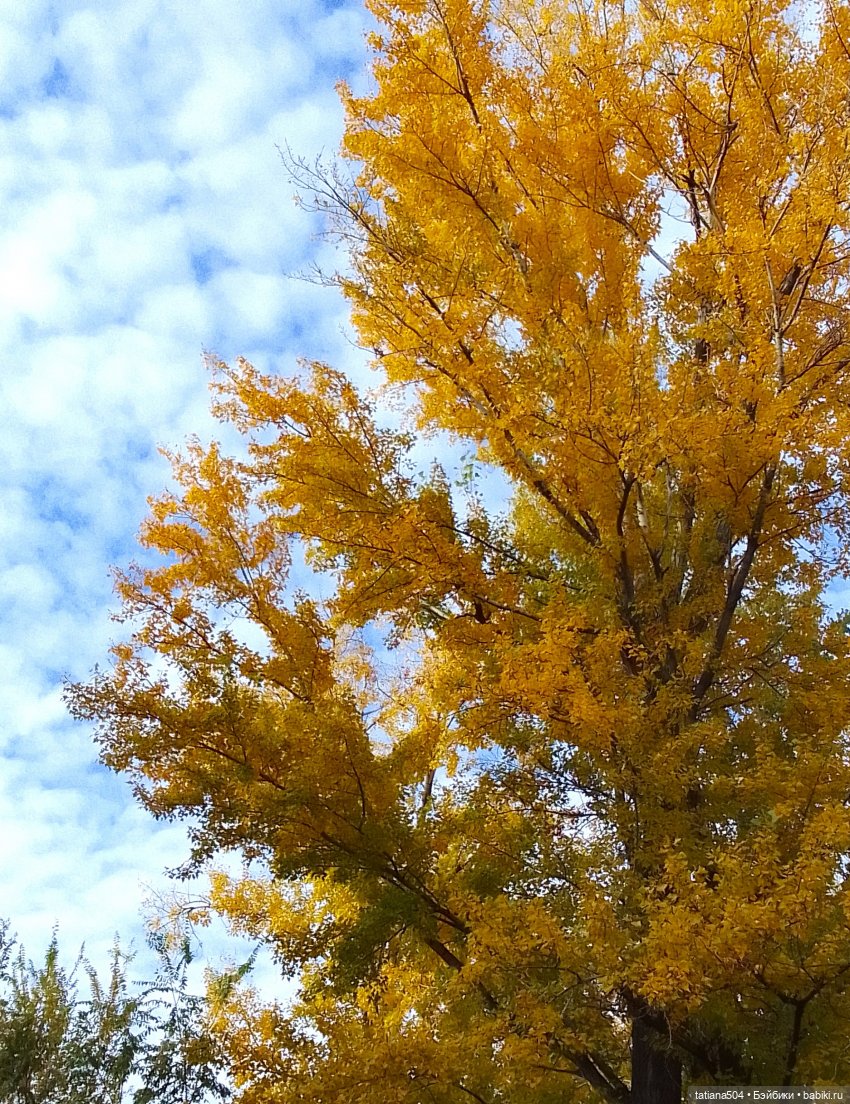 Осенний марафон - 2 с куклами Хелен Киш