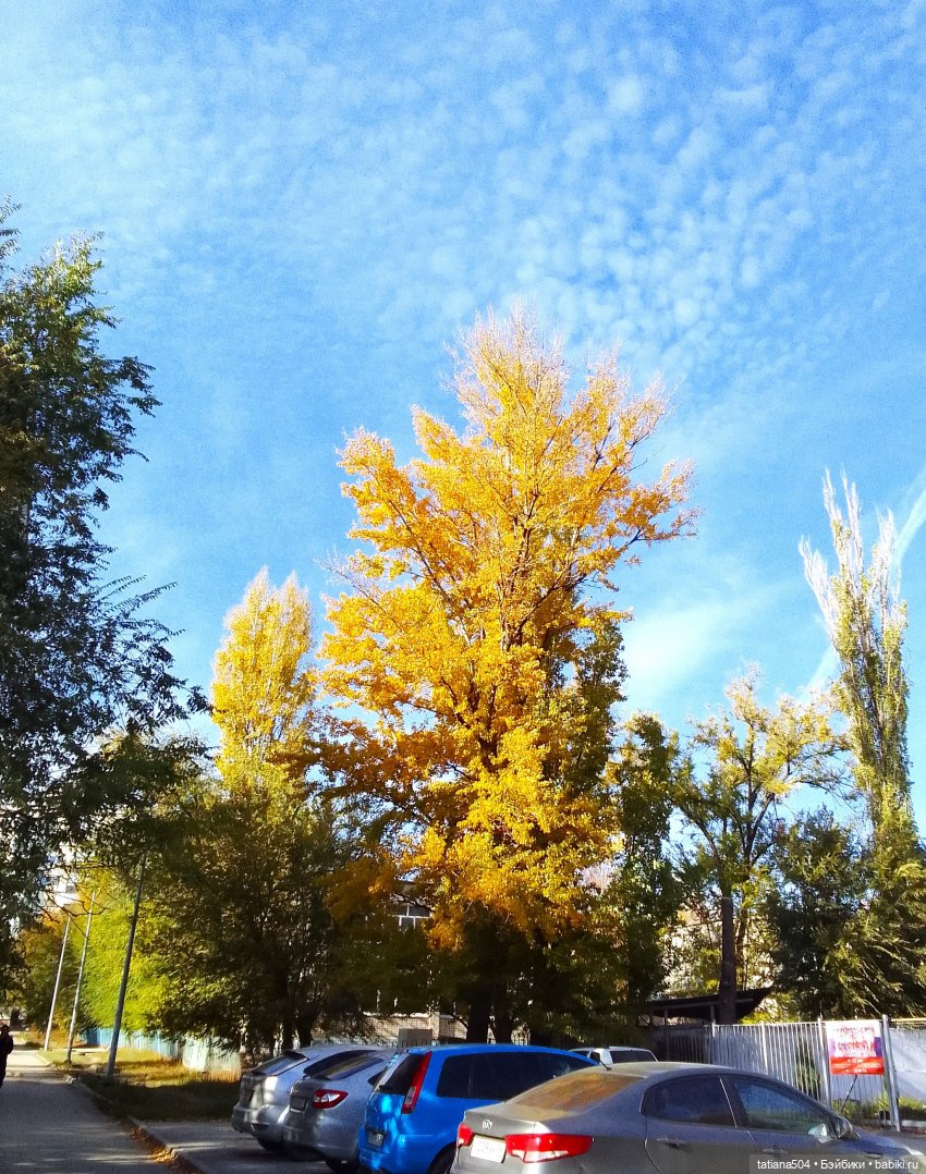 Осенний марафон - 2 с куклами Хелен Киш