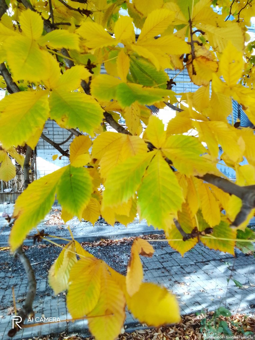 Осенний марафон - 2 с куклами Хелен Киш (фото 4)