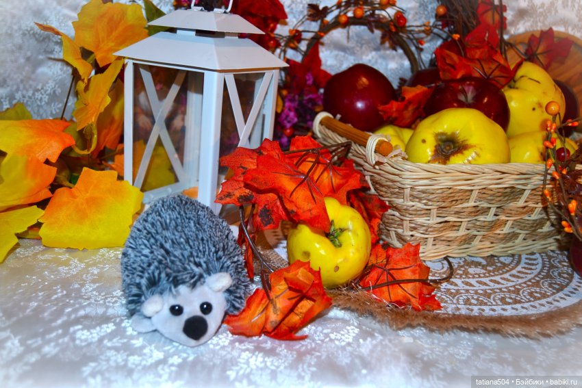 Осенний марафон - 3 с Рубиночками | Бэйбики Осенний марафон - 3 с Рубиночками (фото 3)