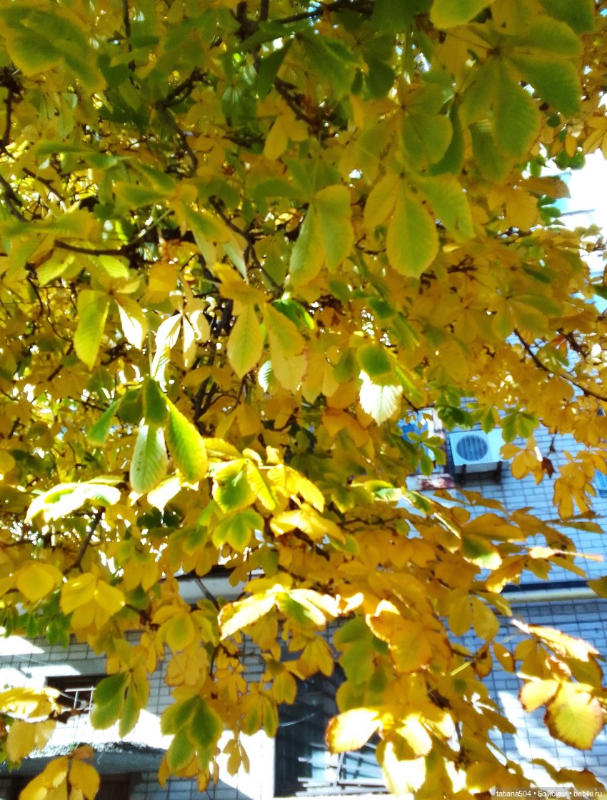 Осенний марафон - 2 с куклами Хелен Киш