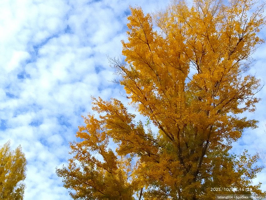 Осенний марафон - 2 с куклами Хелен Киш