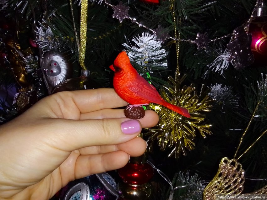 Рождество, красный Кардинал и малышка Петси (фото 7)