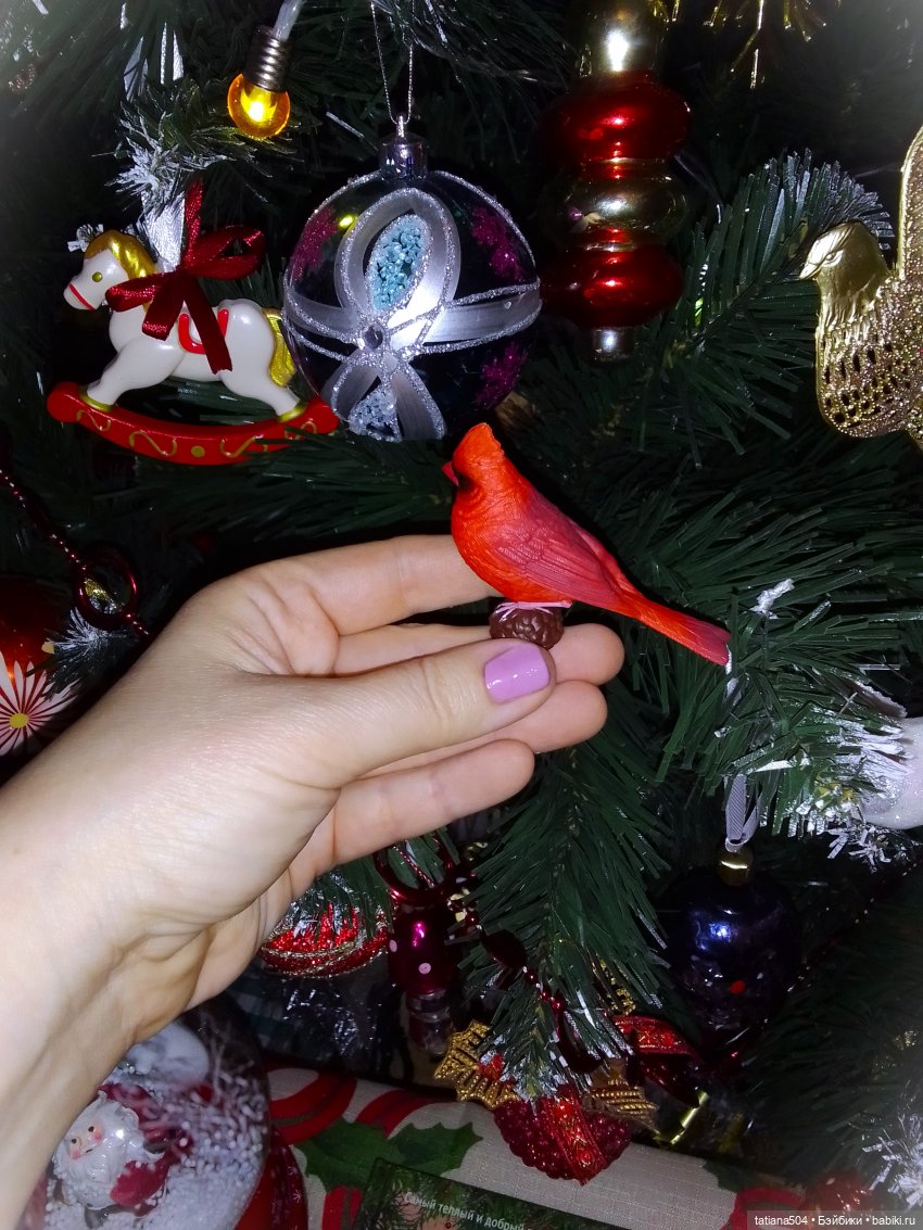 Рождество, красный Кардинал и малышка Петси (фото 8)