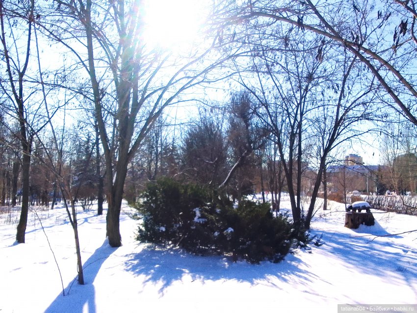 Как с нами февраль прощался, гуляли с Аришой и Машей