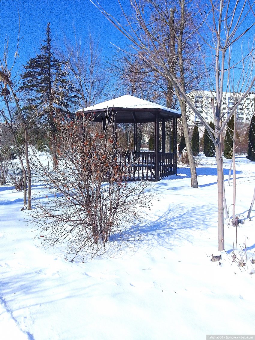 Как с нами февраль прощался, гуляли с Аришой и Машей