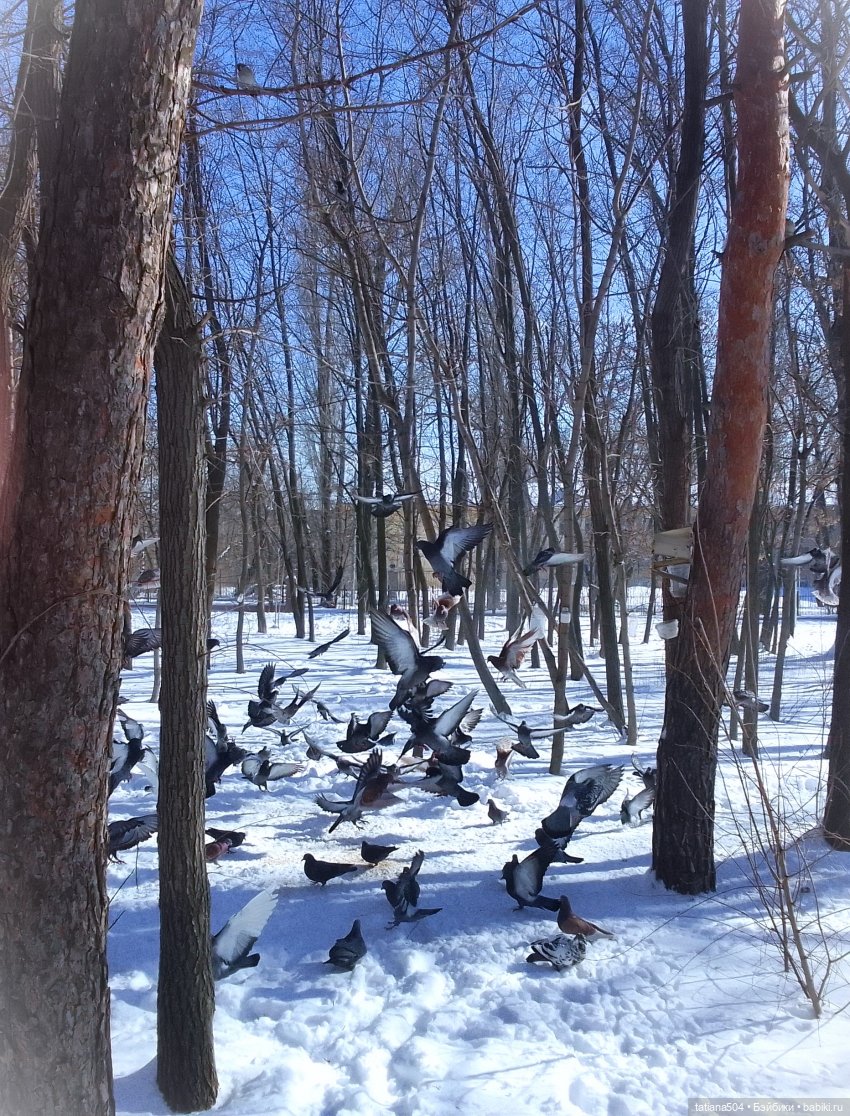Как с нами февраль прощался, гуляли с Аришой и Машей