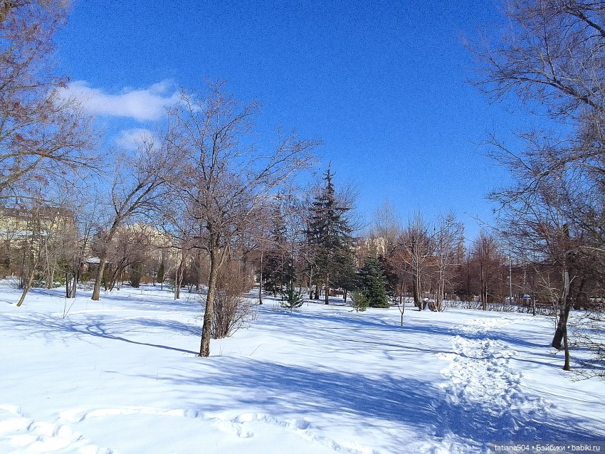 Как с нами февраль прощался, гуляли с Аришой и Машей (фото 8)