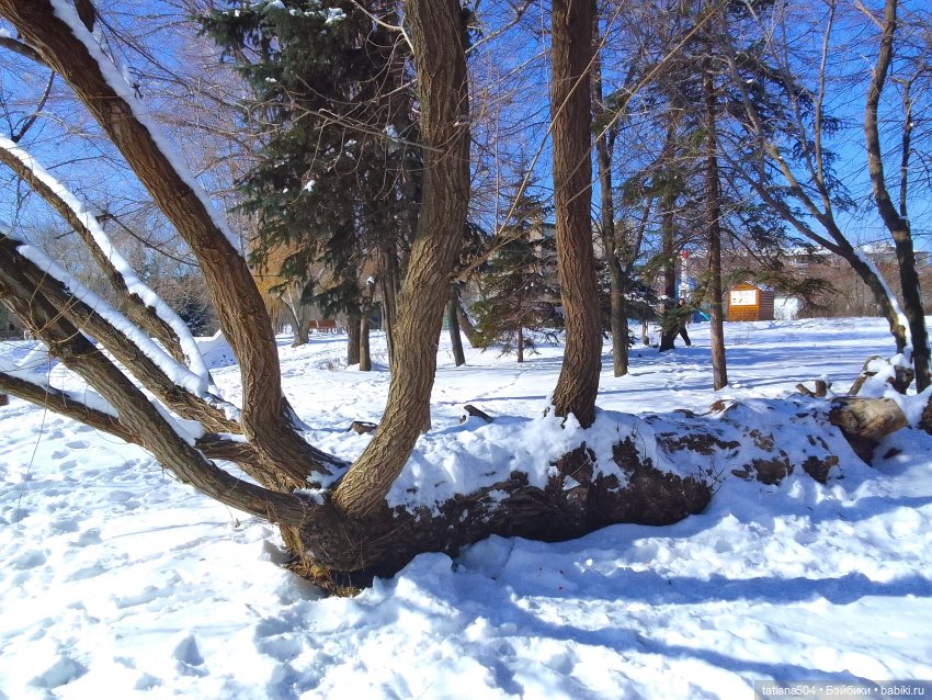 Как с нами февраль прощался, гуляли с Аришой и Машей