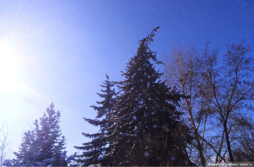 Как с нами февраль прощался, гуляли с Аришой и Машей