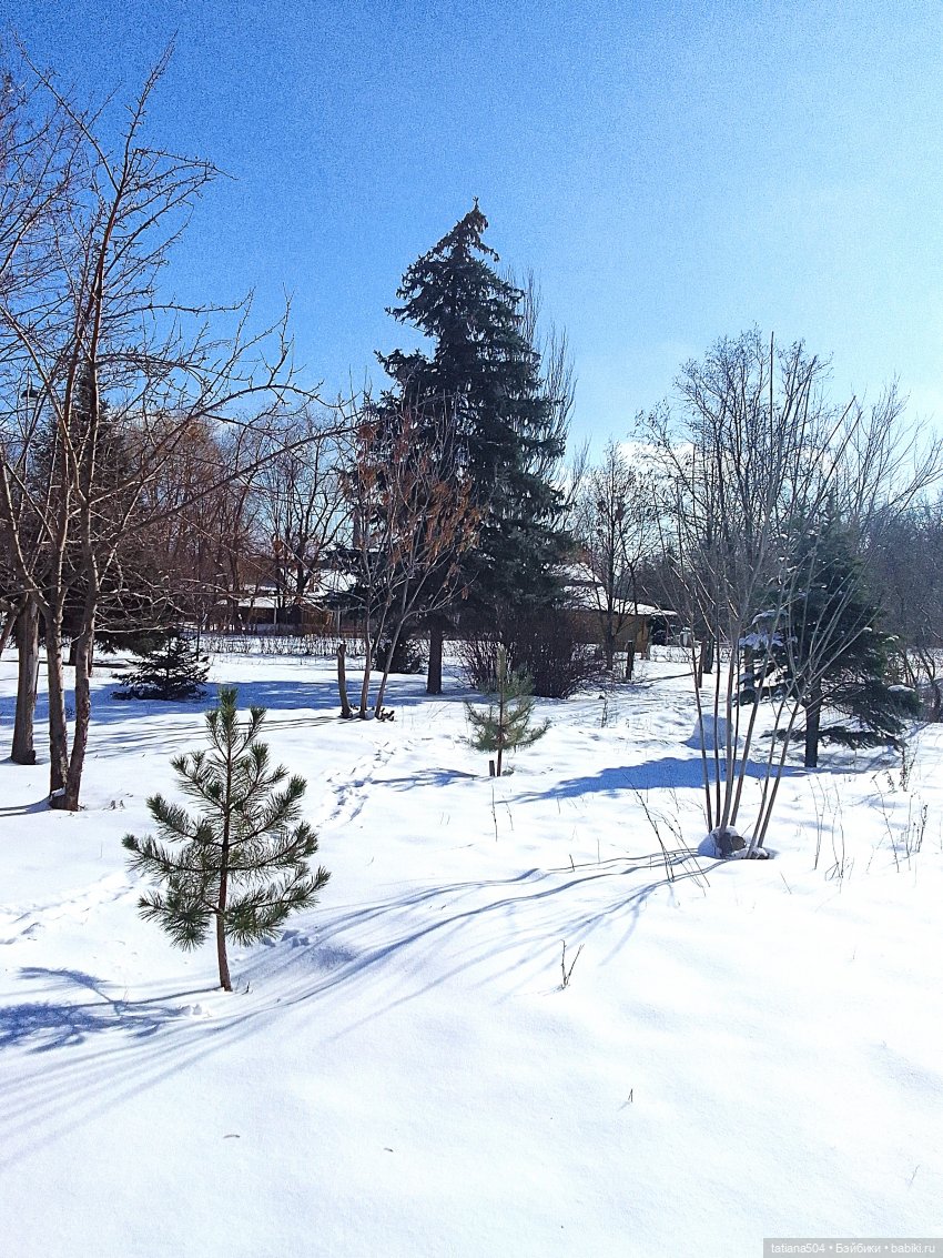 Как с нами февраль прощался, гуляли с Аришой и Машей