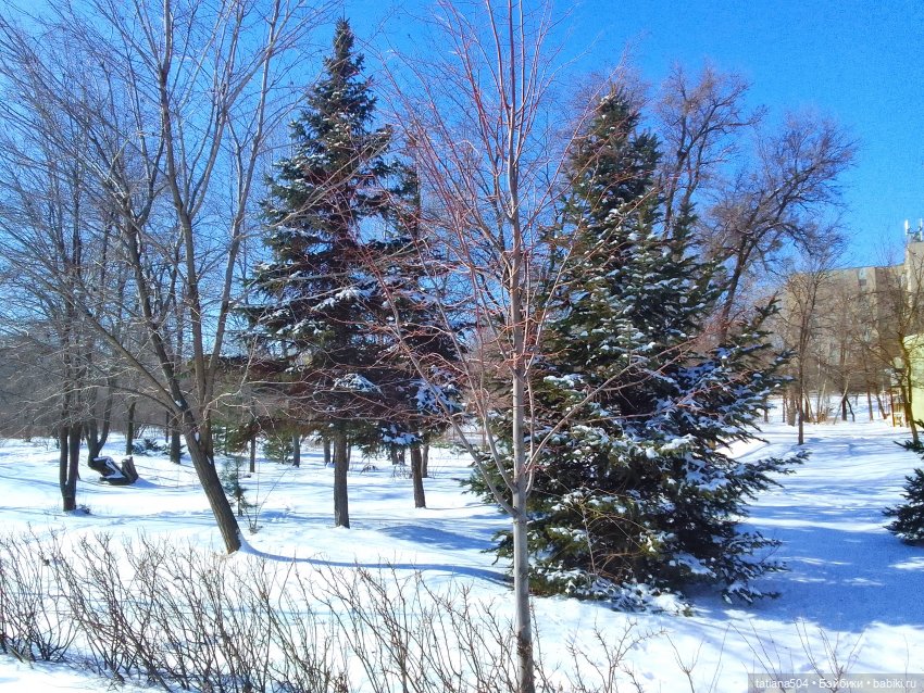 Как с нами февраль прощался, гуляли с Аришой и Машей