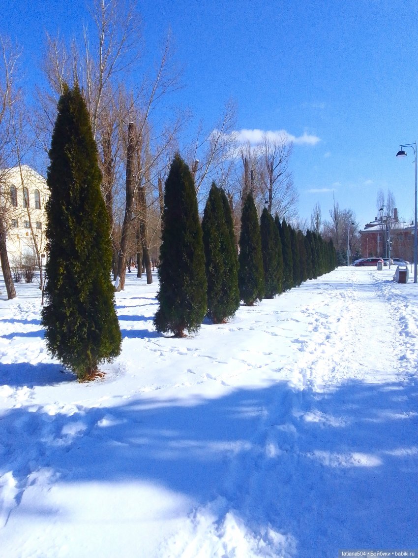 Как с нами февраль прощался, гуляли с Аришой и Машей