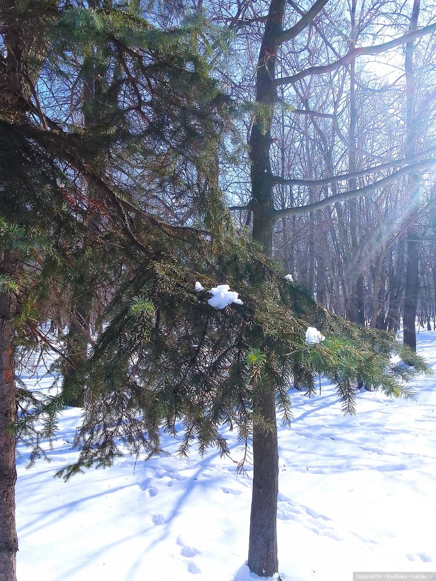 Как с нами февраль прощался, гуляли с Аришой и Машей
