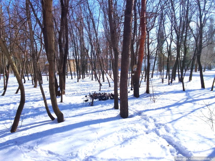 Как с нами февраль прощался, гуляли с Аришой и Машей