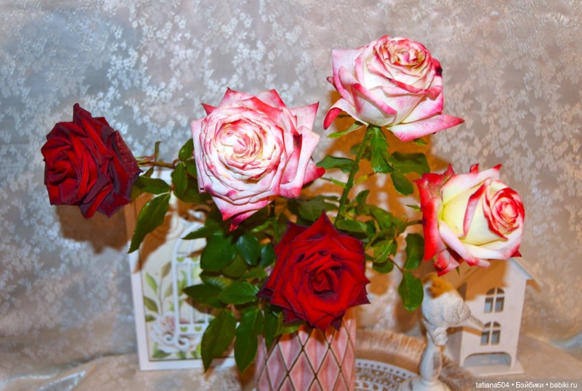 Розы и Принцессы NPK doll (Дианочки) (фото 2)