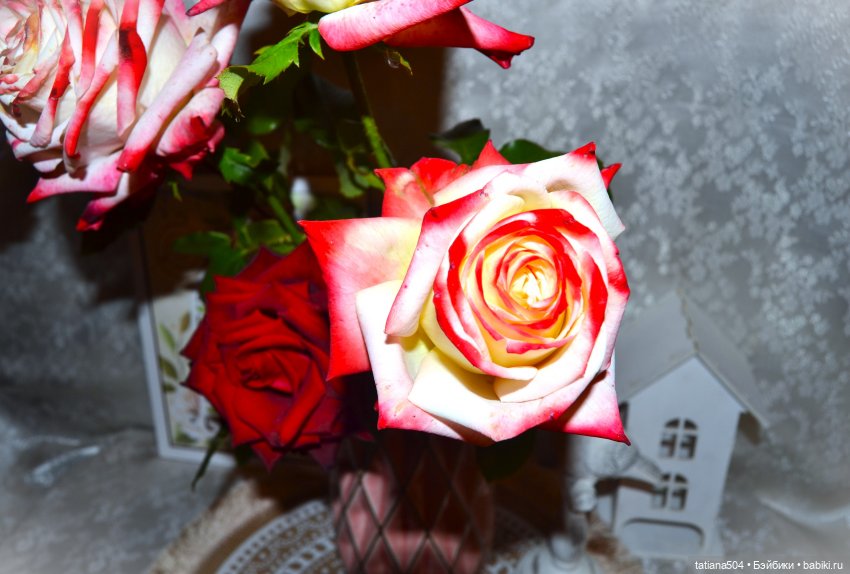 Розы и Принцессы NPK doll (Дианочки)