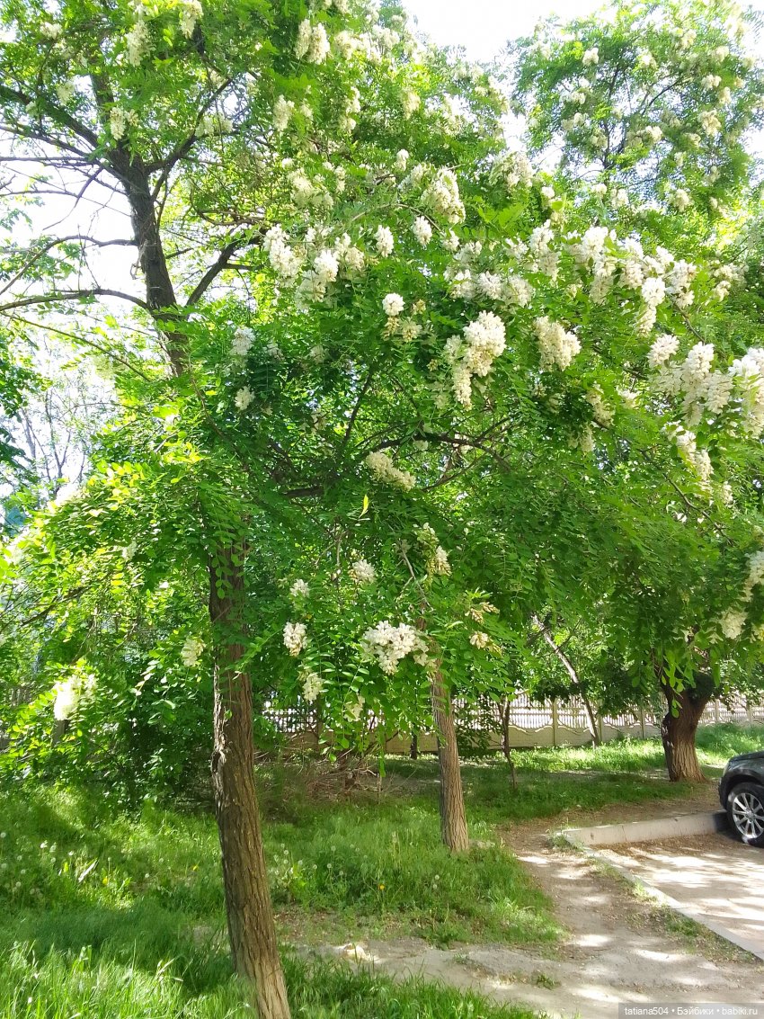 МиТя Картошкин, желает познакомиться (фото 2)