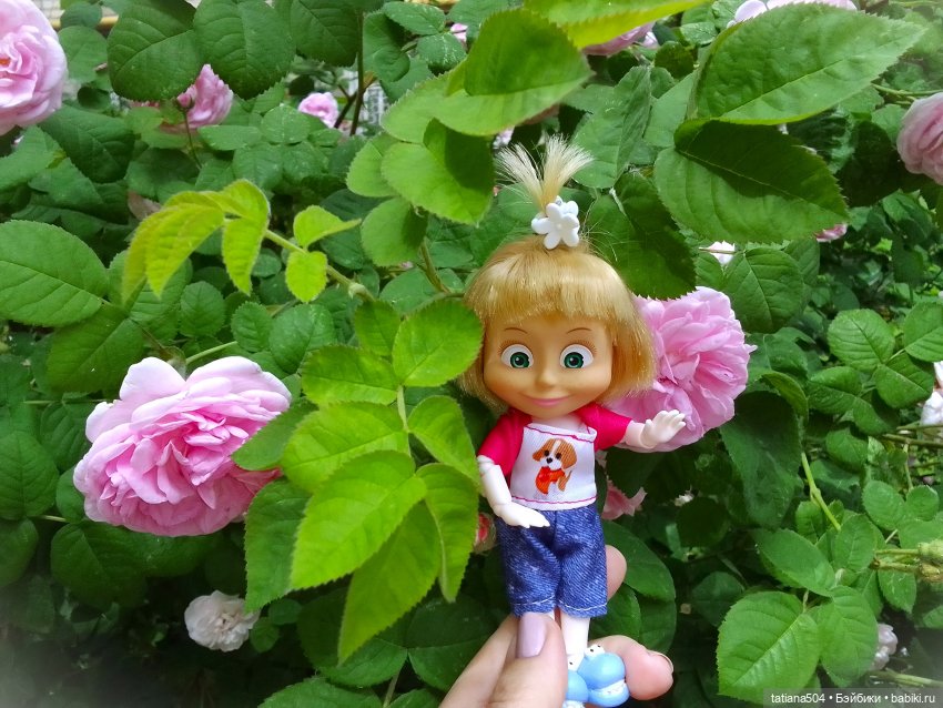 Налетай, не зевай – в группенфото все вставай