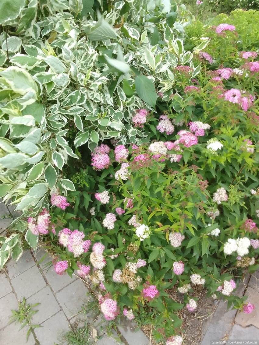 Каникулы Маруси – купание в фонтане