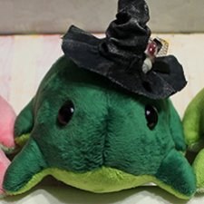 Жабки в шляпках