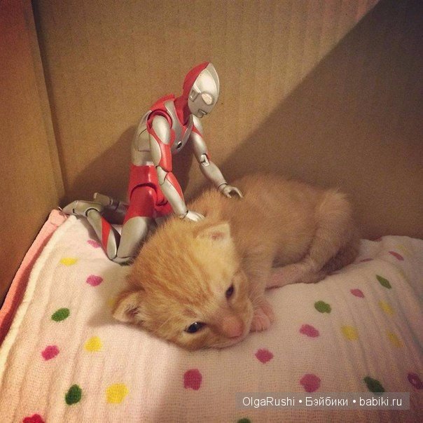 "Дружбы пост" (взято из vk) (фото 4)