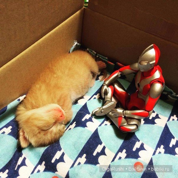 "Дружбы пост" (взято из vk) (фото 2)