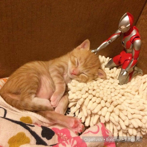 "Дружбы пост" (взято из vk) (фото 3)