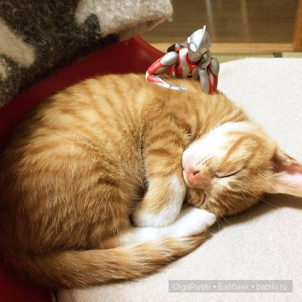 "Дружбы пост" (взято из vk) (фото 7)