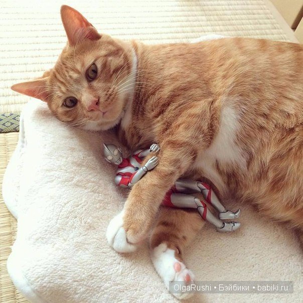 "Дружбы пост" (взято из vk) (фото 9)