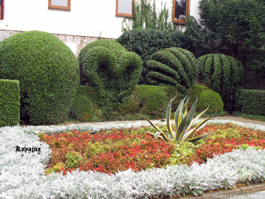 Яркая осень с хризантемами! Бывают разные - желтые и красные или Динь Динь в Ялте на балу Хризантем