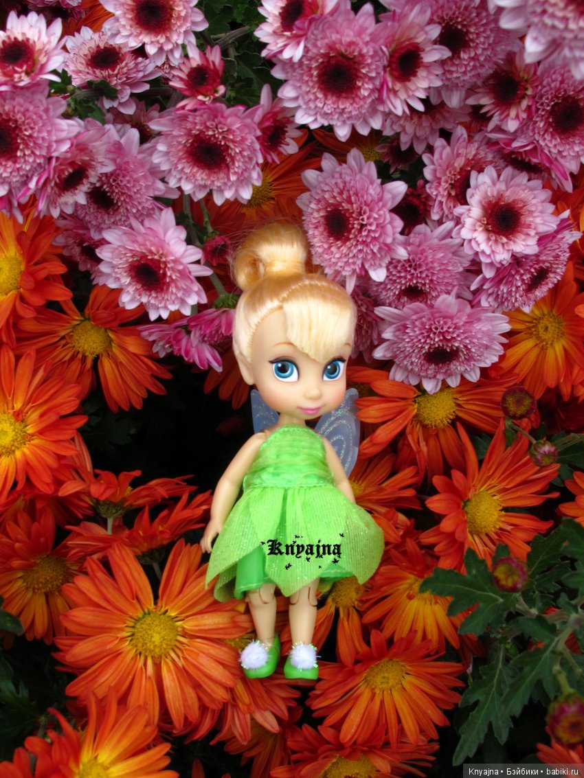 Яркая осень с хризантемами! Бывают разные - желтые и красные или Динь Динь в Ялте на балу Хризантем