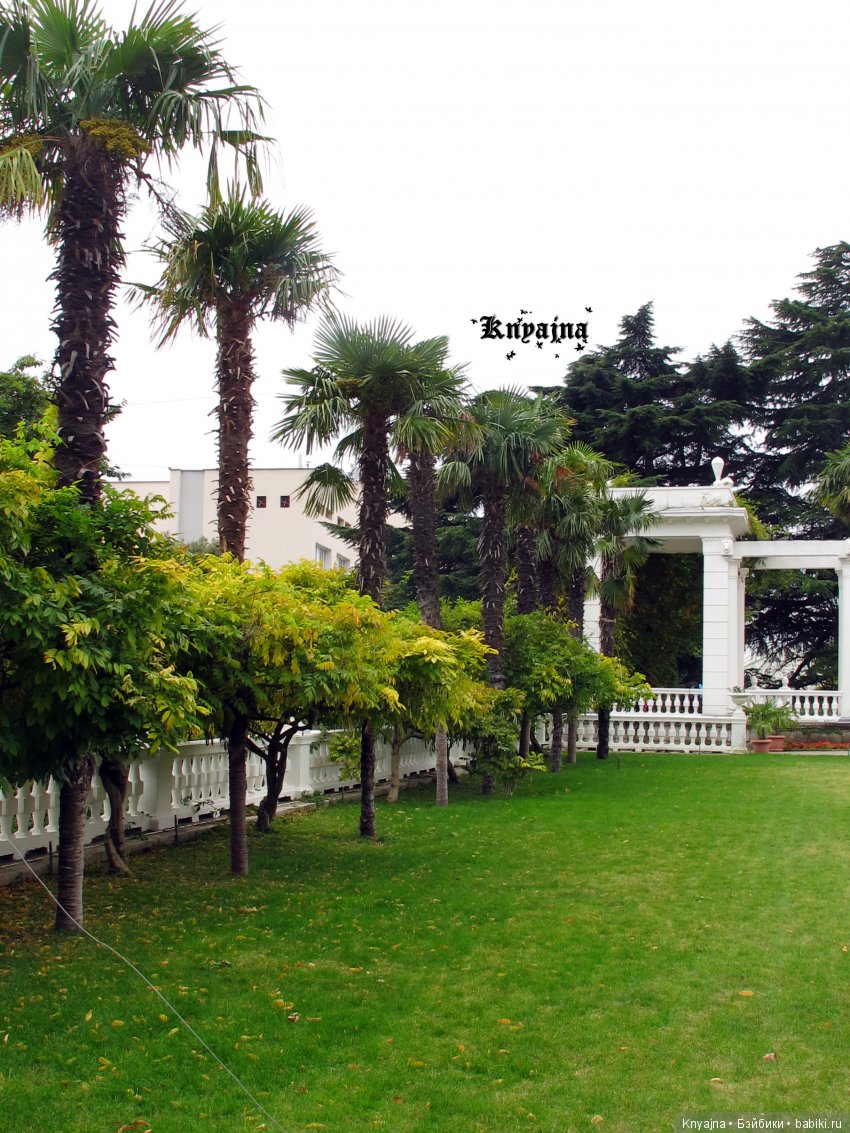 Яркая осень с хризантемами! Бывают разные - желтые и красные или Динь Динь в Ялте на балу Хризантем (фото 2)