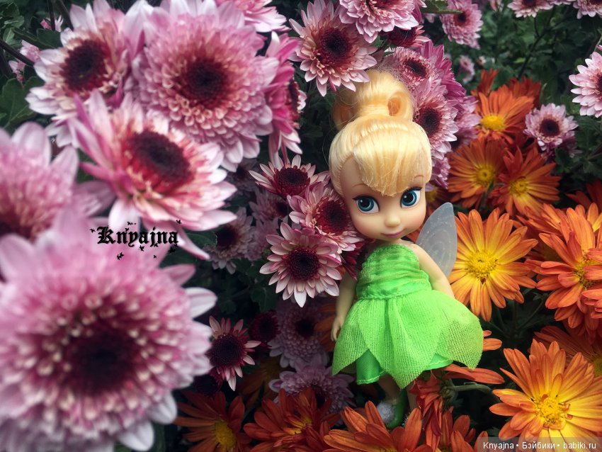 Яркая осень с хризантемами! Бывают разные - желтые и красные или Динь Динь в Ялте на балу Хризантем (фото 9)