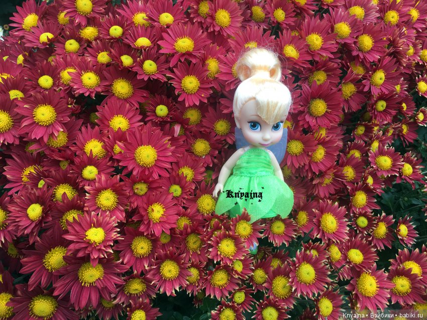 Яркая осень с хризантемами! Бывают разные - желтые и красные или Динь Динь в Ялте на балу Хризантем