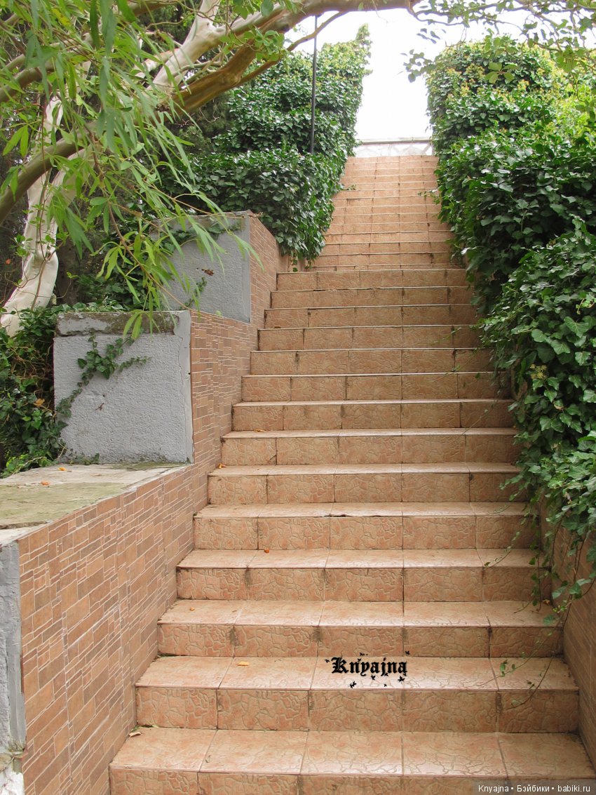 Яркая осень с хризантемами! Бывают разные - желтые и красные или Динь Динь в Ялте на балу Хризантем (фото 3)