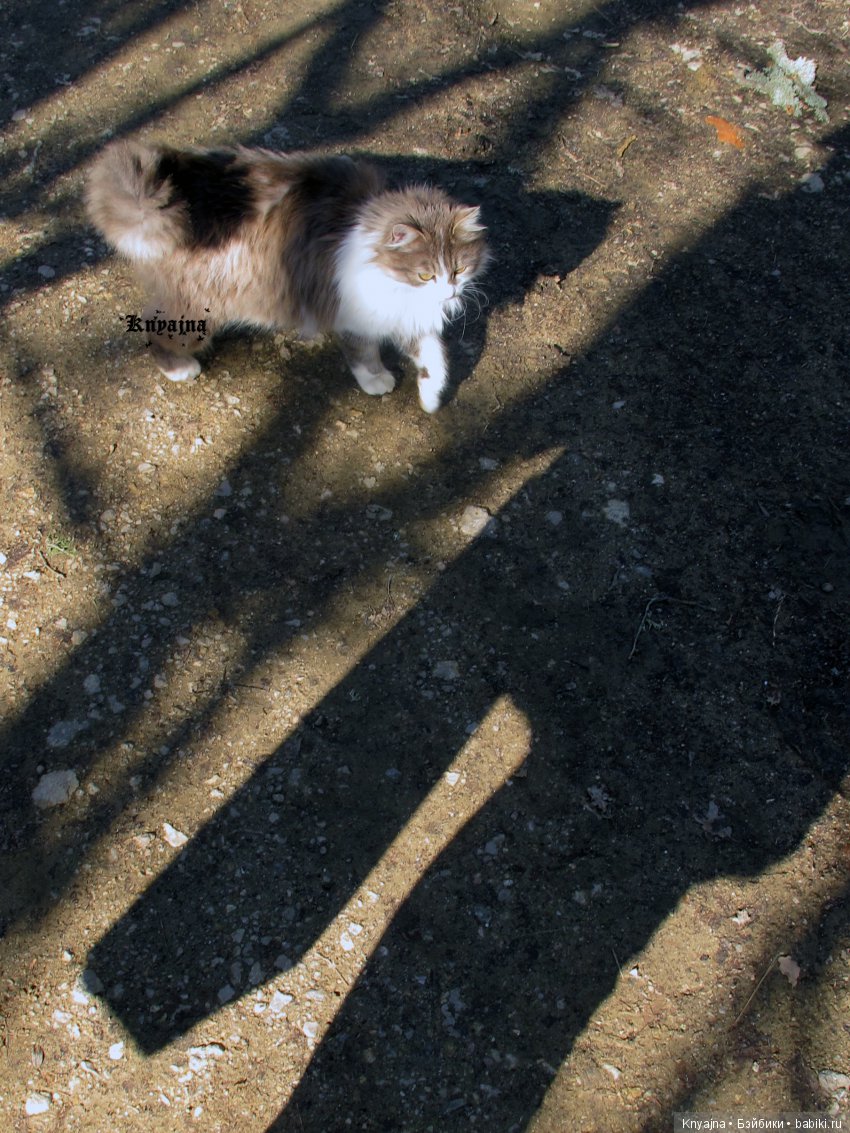 Амелия - вторая куколка в линейке A Girl for All Time