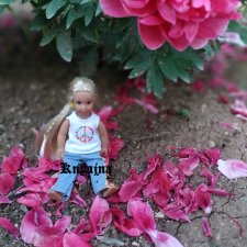 Выходные с Дюймовочками мини америкен герлз (american girls)