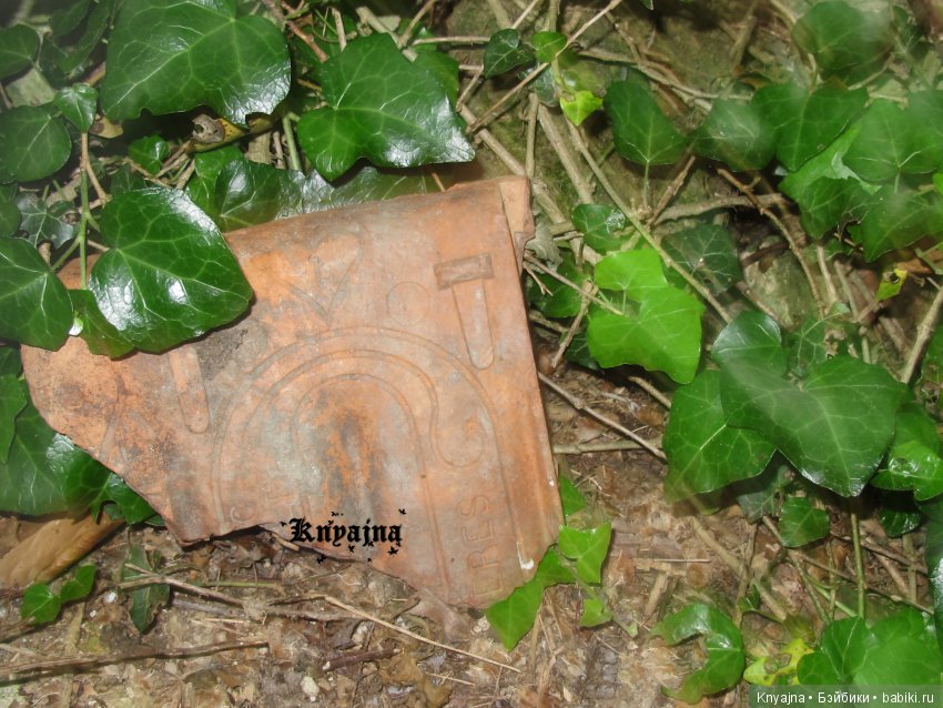 Встреча с единомышленниками в Севастополе! Или куклы разные нужны, куклы разные важны