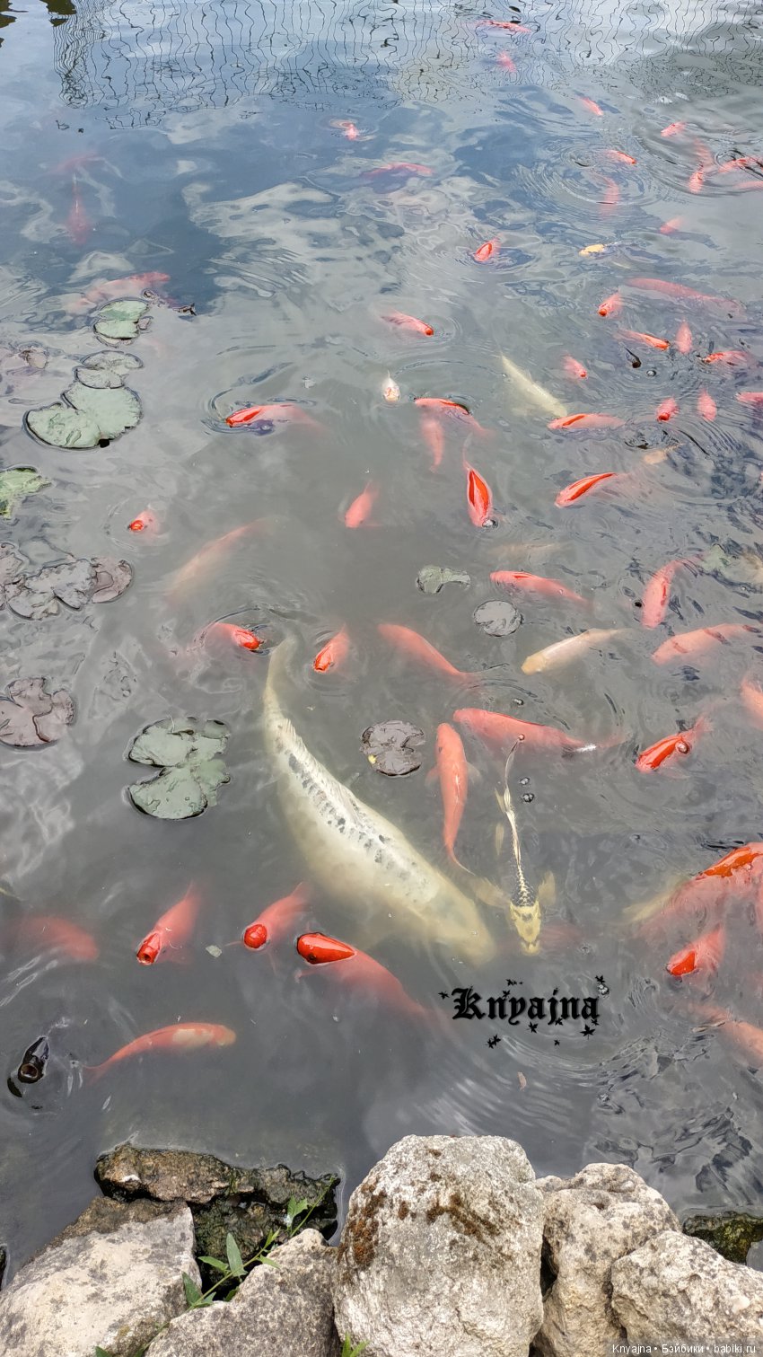 Путешествие в Парк Миниатюр с Паулиной Вестиндой