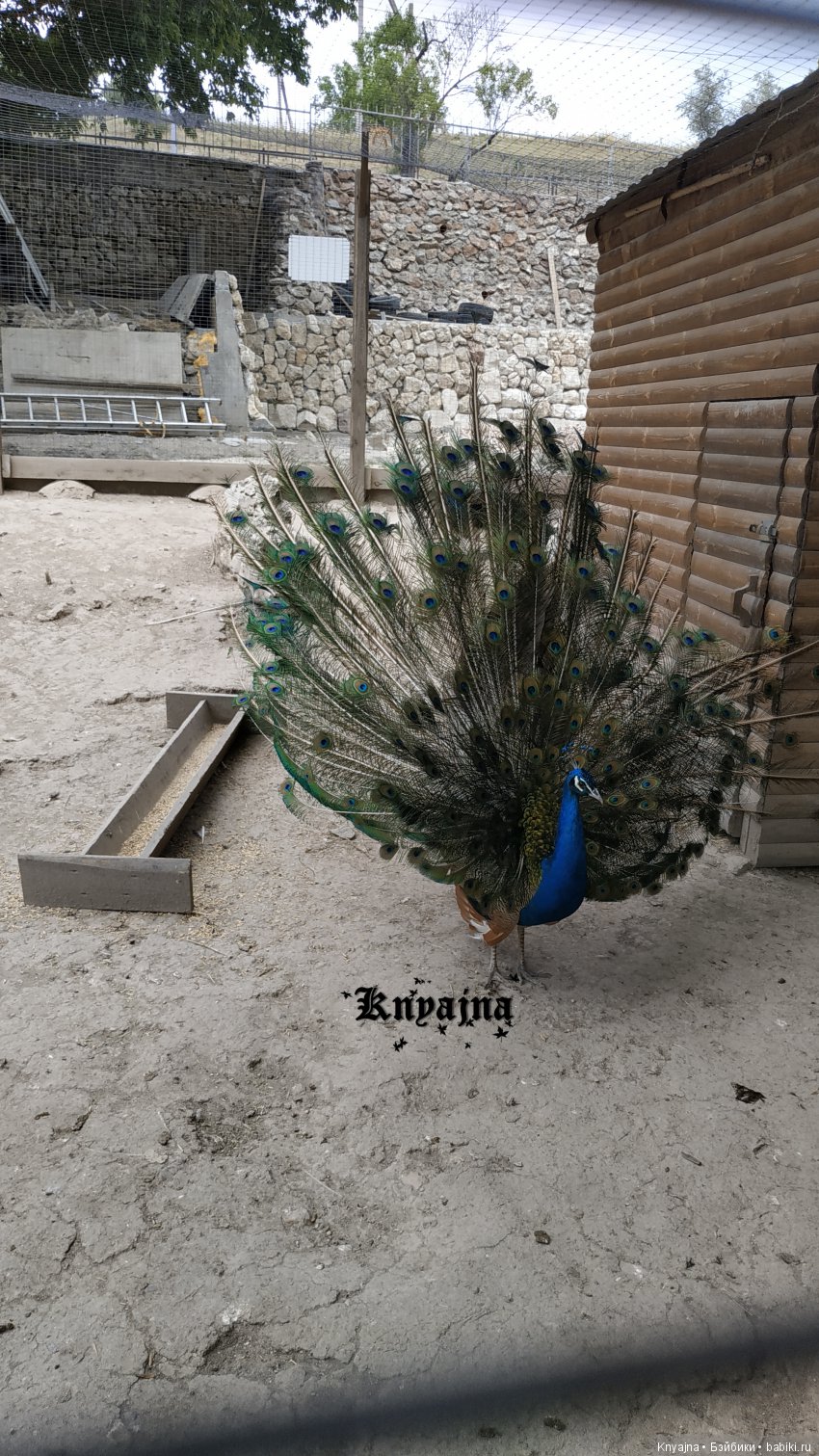 Путешествие в Парк Миниатюр с Паулиной Вестиндой