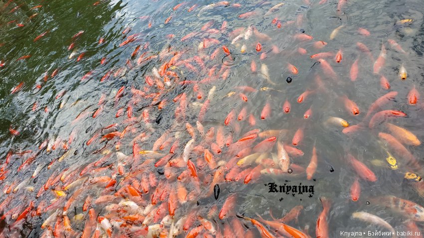 Путешествие в Парк Миниатюр с Паулиной Вестиндой