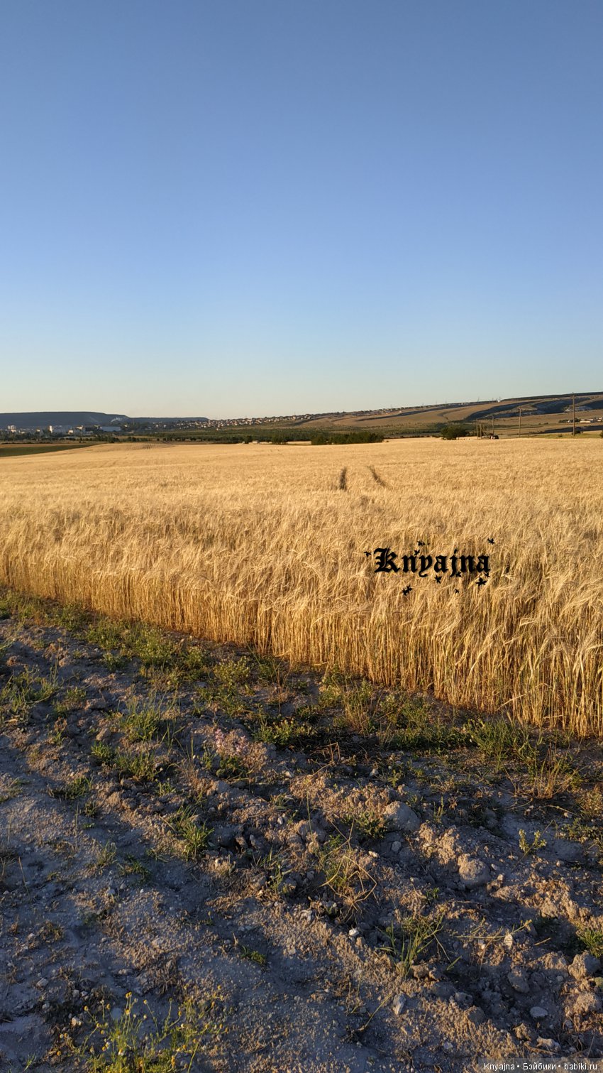 Большое лето маленьких крузелинг (фото 6)