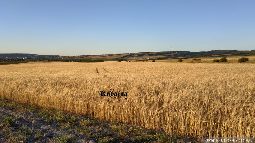 Большое лето маленьких крузелинг (фото 7)